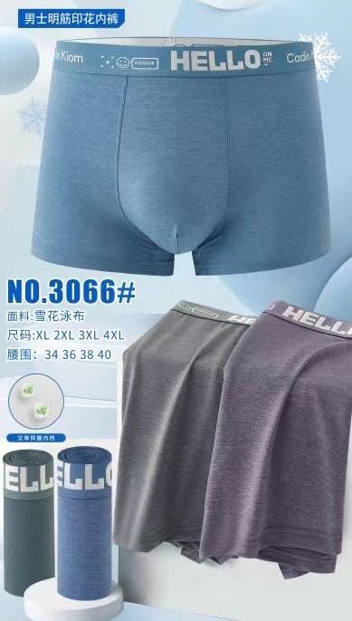 3066 jents panty