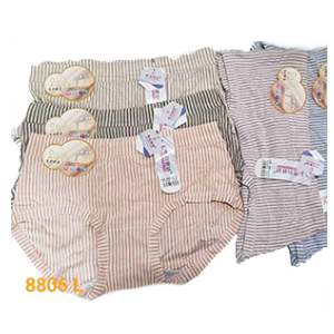 8806 lining panty