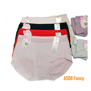 A508 Ladies panty